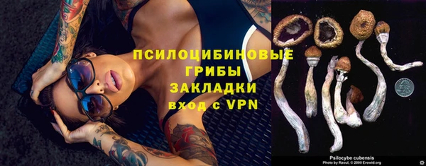 винт Алзамай