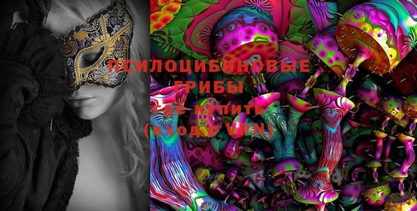 винт Алзамай