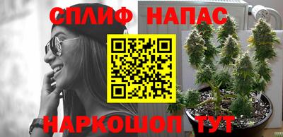 спиды Заволжье