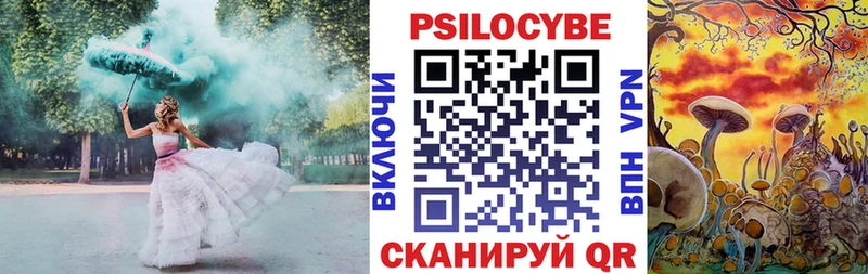 блэк спрут зеркало  Муравленко  Галлюциногенные грибы ЛСД 