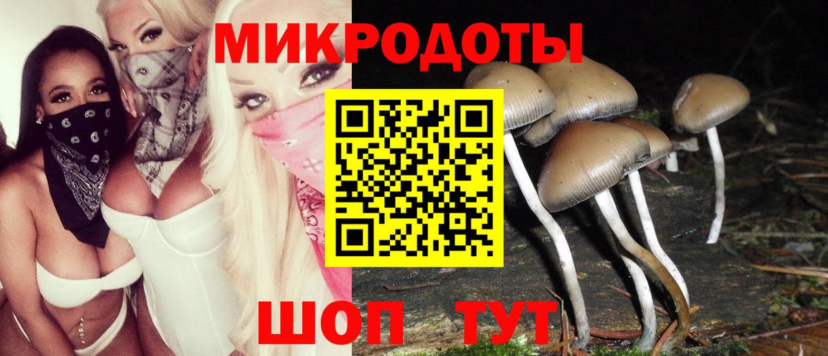Галлюциногенные грибы Psilocybine cubensis  Вход с VPN  Муравленко 