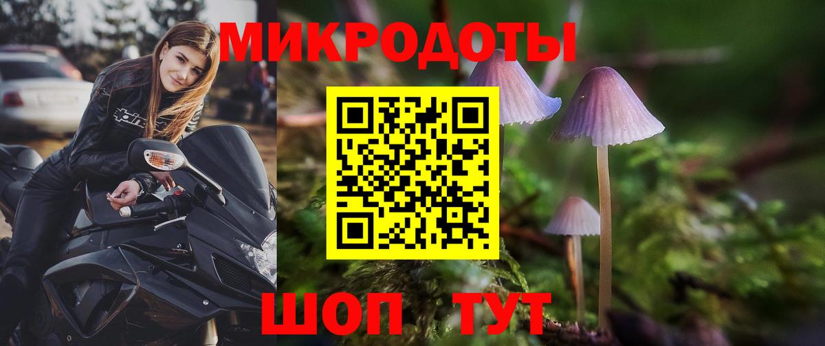 Галлюциногенные грибы GOLDEN TEACHER Муравленко